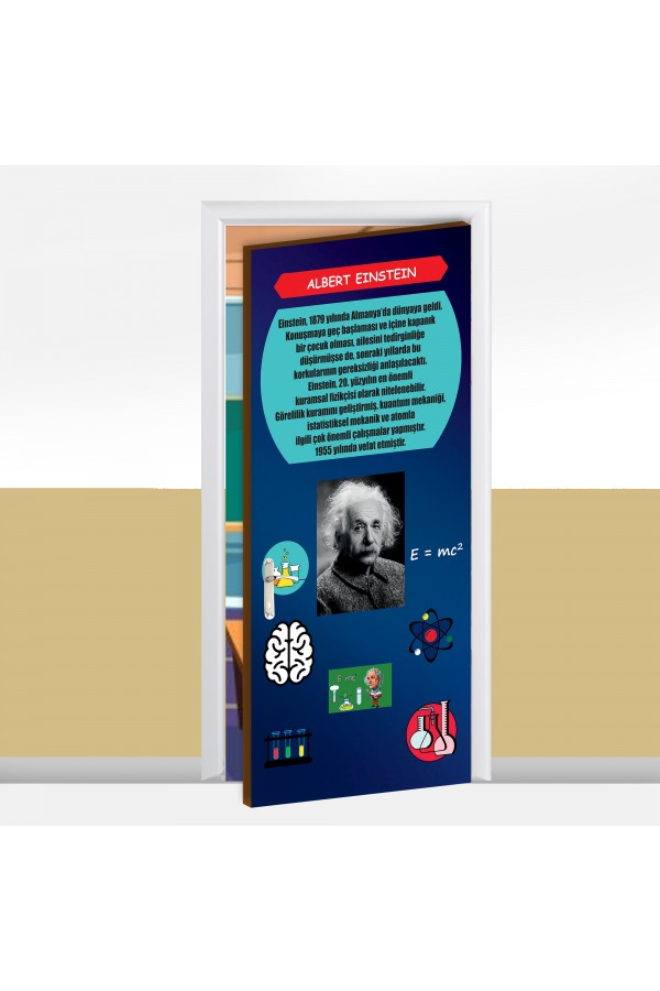 Albert Einstein Hayatı Temalı Okul Kapı Giydirme