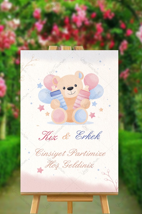 Afiş ve Panolar - Kız Erkek Cinsiyet Partisi Ayıcıklı Karşılama Panosu
